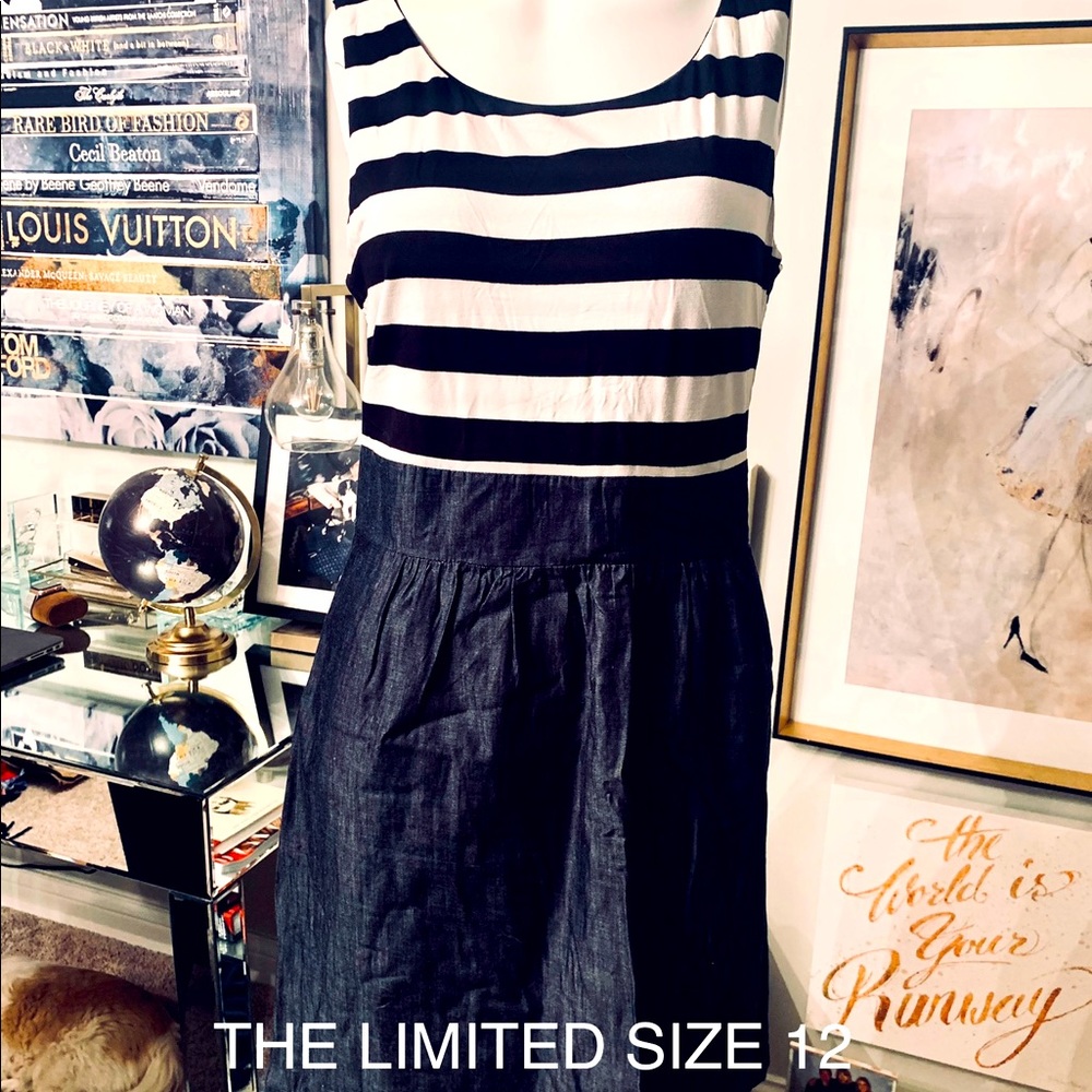 The Limited striped and chambray dress
